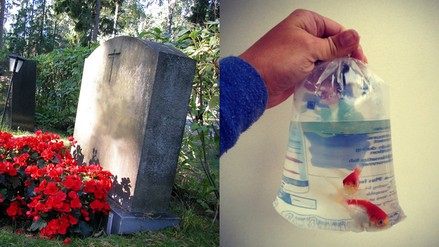 Illustration for article titled 6 Cemeteries That Are Clearly Competing For Will Smith’s Grave